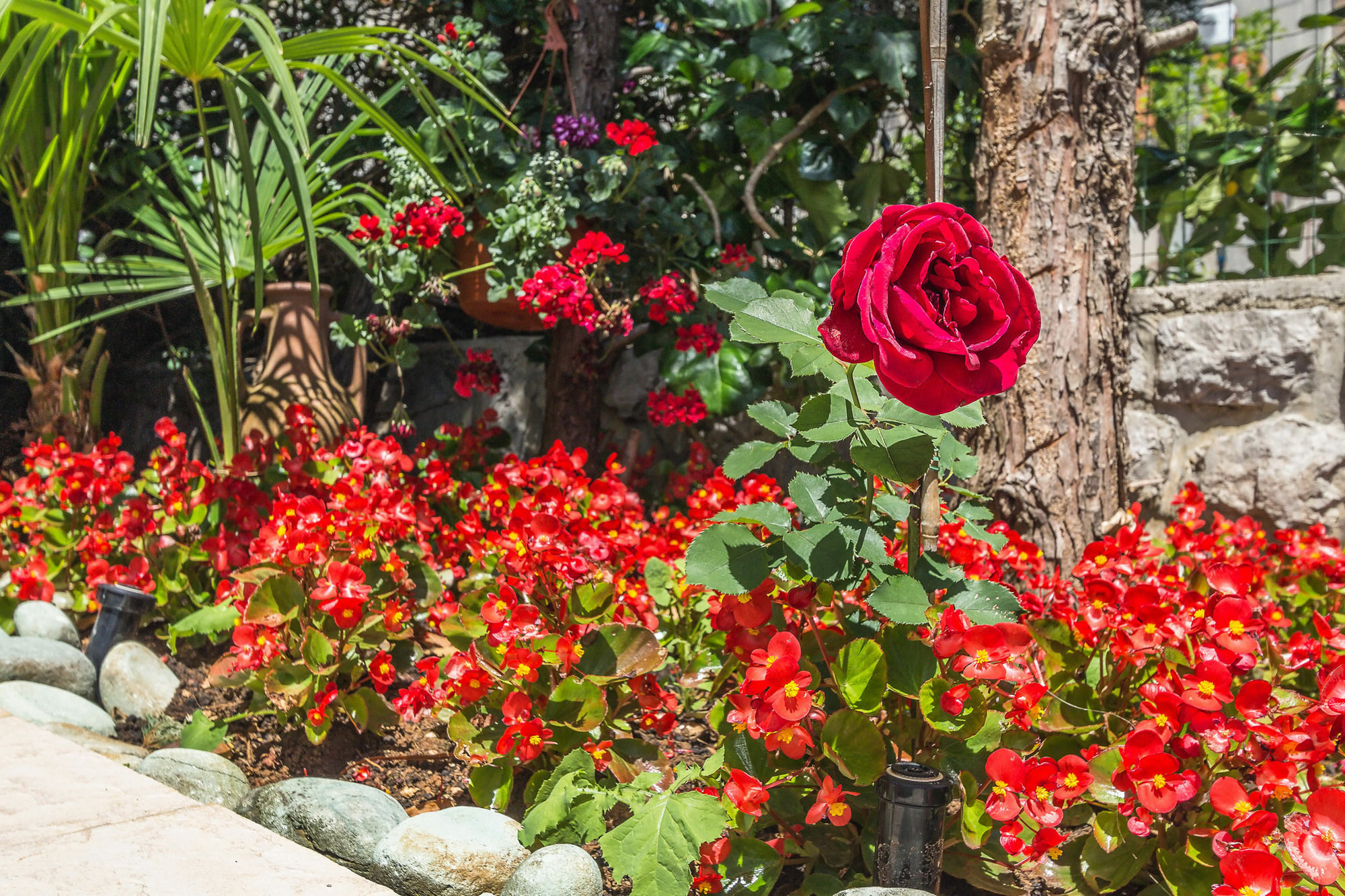 Villa Roses Apartments & Wellness Ичичи Экстерьер фото